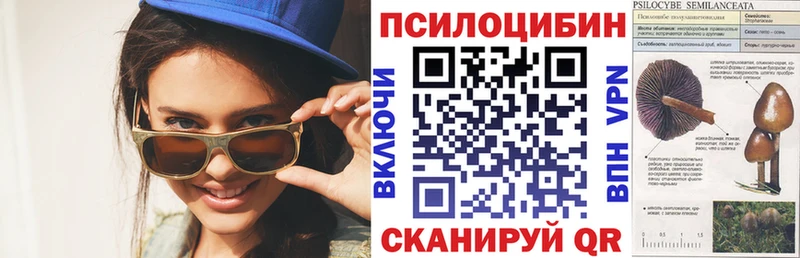 Галлюциногенные грибы мицелий  Ельня 