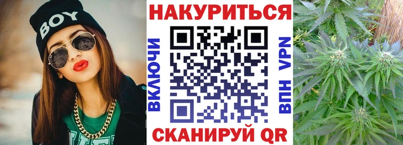 Бошки Шишки White Widow  купить закладку  Ельня 